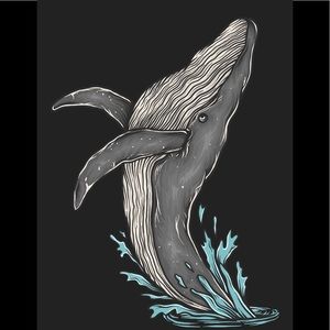 Meet your Posher, Lola